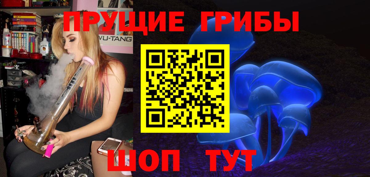 Галлюциногенные грибы Psilocybe Армавир